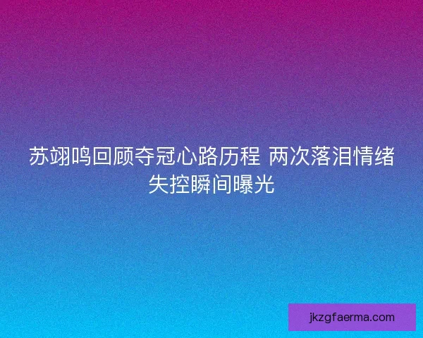 苏翊鸣回顾夺冠心路历程 两次落泪情绪失控瞬间曝光