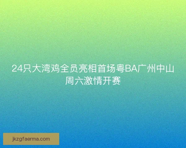 24只大湾鸡全员亮相首场粤BA广州中山周六激情开赛