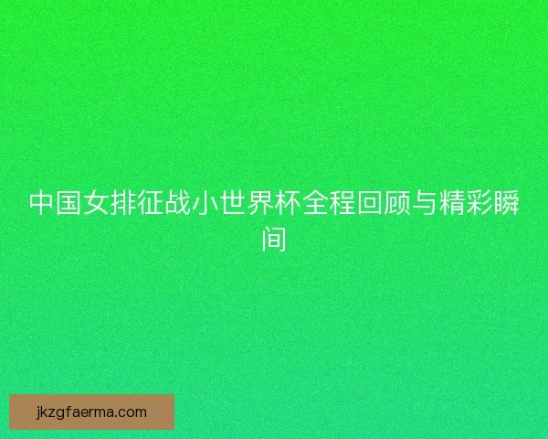 中国女排征战小世界杯全程回顾与精彩瞬间